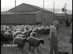 Communal farming Instructional Video