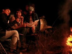 Three young women using laptop in the forest, Delhi, India Stock Footage