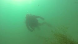 Three years after the tsunami, widower learns to dive so he can look for his missing wife News Clip