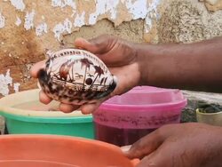 CU ZI Man showing decorated shell / Kanyakumari, Tamil Nadu, India Stock Footage