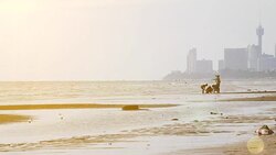 Pattaya Beach Thailand Stock Footage