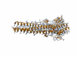 Model of Influenza Virus Hemagglutinin - PAL Stock Footage