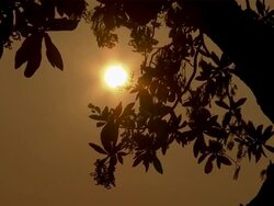 Sunset on Hawaiian coast. Stock Footage