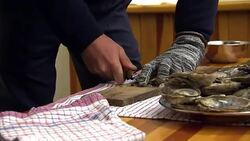 Prince Harry Shucks Oysters in Oban News Clip