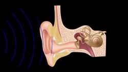 Onda Instructional Video