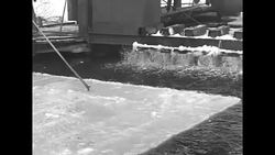 Blocks of ice being cut on Charles River in Waltham, MA News Clip