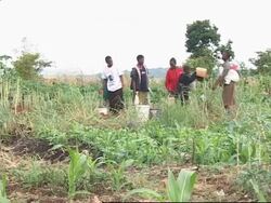 Capital residents still lacking clean water supplies News Clip