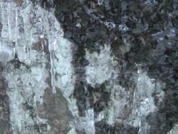 Sheet Of Icicles Stock Footage