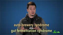 How to Get Drunk on Bread Instructional Video