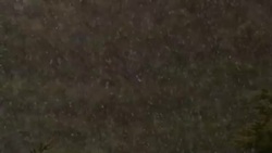 Heavy snow falls in Nova Scotia. Stock Footage