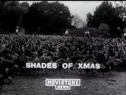 SHADES OF XMAS - News Clip