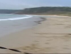 Lifesaving dog takes to the sea off England News Clip