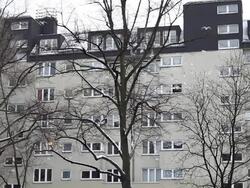 Seagulls flying in front of a house Stock Footage