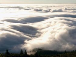 T/L, WS clouds and fog, Mount Rainer National Park, Washington, USA Stock Footage