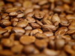 Coffe beans - loopable Stock Footage
