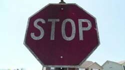 VOICED : El bourbon llena de hongos Kentucky News Clip