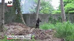 Viaje de migrantes africanos, haitianos y cubanos se estanca en el sur de México  News Clip