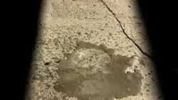 Fluidity Stock Footage