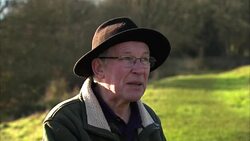 Bee and butterfly numbers fall across the UK News Clip