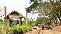 Farmer and beautiful life Stock Footage