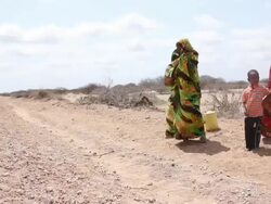 Family standing by the road Stock Footage