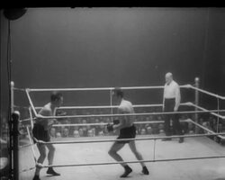 FANS DOUBT FARR VERDICT News Clip