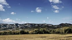 summer landscape Stock Footage