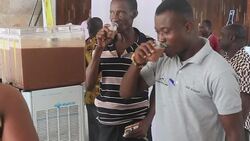 CLEAN : National Chocolate Day to promote benefits of cocoa products News Clip