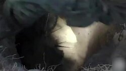 VOICED : Poles unearth rare 5,000 year old News Clip