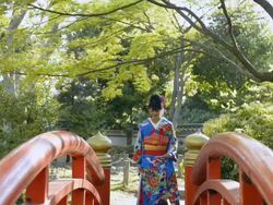 MS TU Shot of Japanese woman dressing in traditional wedding kimono / Kyoto, Japan Stock Footage