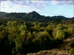 Pan across wooded landscape, Autumn, Sierra Morena, Andalusia, Southern Spain Stock Footage