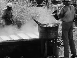 Migrant worker after the Dust Bowl Stock Footage