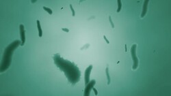 Virus infection medical loop ready background Stock Footage