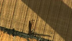 A man hammers a nail into wood before bending it and pounding it flat into the wood. Stock Footage