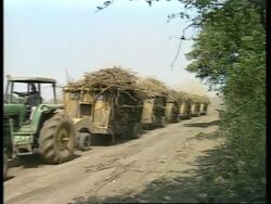 NICARAGUA: RUM INDUSTRY BOOMING News Clip