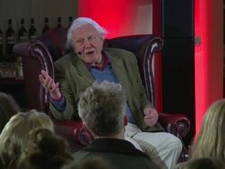 INTERVIEW - David Attenborough on answering mysteries at Natural Curiosities press screening on 26th January 2015 in London, England. Stock Footage