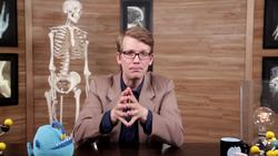 Blood Vessels, part 1 - Form and Function: Crash Course A&P Instructional Video