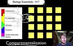 Compartmentalization Instructional Video
