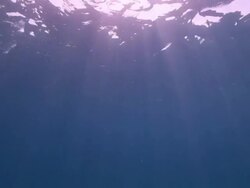 Sun rays beam below the surface of the Red Sea. Stock Footage