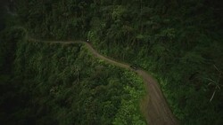A dirt road winds along a mountainside in a rainforest in Bolivia. Stock Footage
