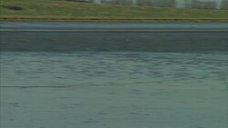 Scenery and wildlife on the Swale Estuary in kent News Clip