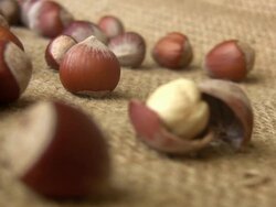 Hazelnuts Stock Footage