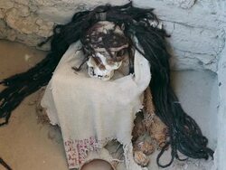 MS Shot of skull with long hairs at Chauchilla cemetery / South Of Peru, Nazca, Peru Stock Footage