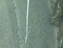 Bungee Jumper Stock Footage