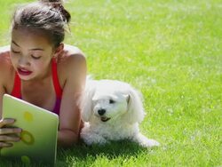 Young girl and pet using tablet Stock Footage