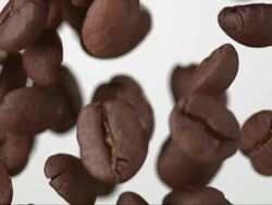 Coffee Beans On A White Background (Super Slow Motion) Stock Footage