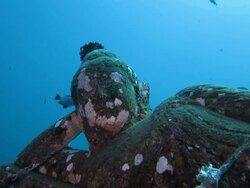 Reclining Buddha Underwater Stock Footage