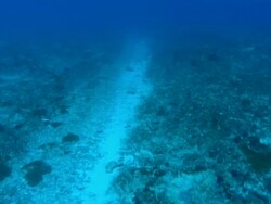 Narrow sand channel, underwater. Aldabra, Indian Ocean  Stock Footage