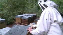 CLEAN : EU to decide on imposing a ban on the use News Clip