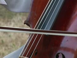 HD: Playing Contra Bass Stock Footage